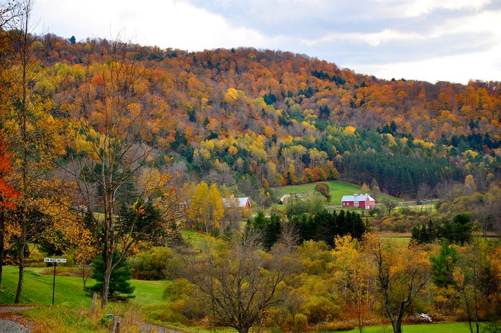 Green Mountain National Forest, Vermont (kimberley kv via Flickr) None