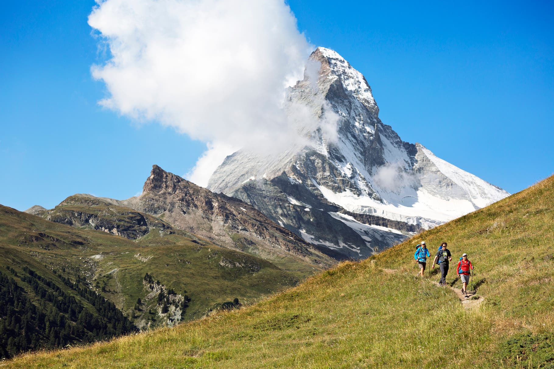Three hikers on a grassy trail with the Matterhorn above on the sixth, and final day of the Chamonix to Zermatt Glacier Haute Route.