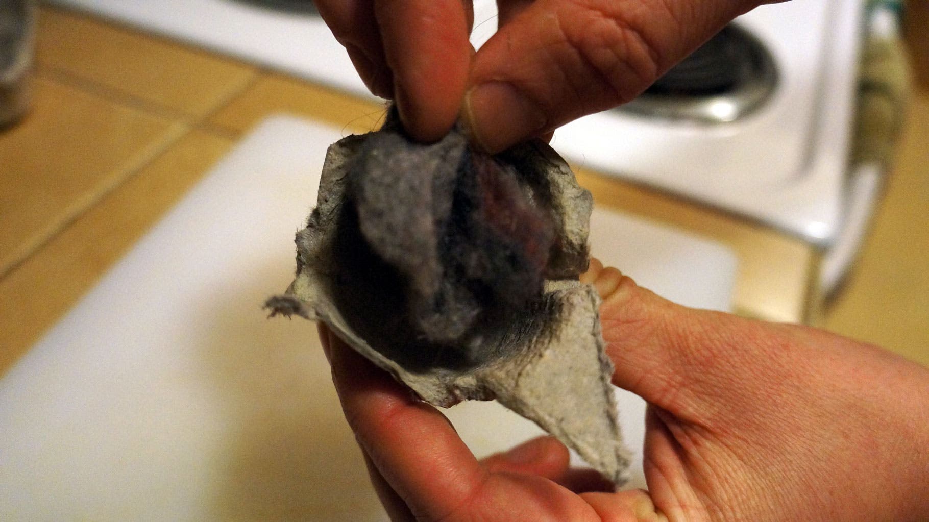 Make a Firestarter-Step 4 Stuff your egg crate cup full of dryer lint.