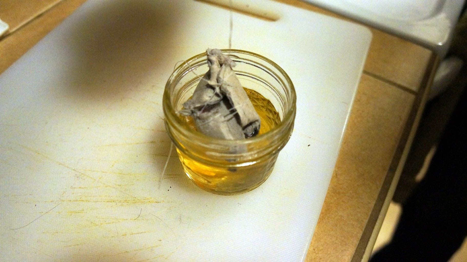 Once wax is melted (about 10 minutes), use floss to dip your lint-filled egg crate into the wax. Push it around with your finger if necessary to make…