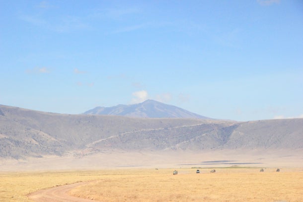 Ngorogoro Crater Safari vehicles trace the Ngorogoro Crater’s broad savannah, 2,000 feet below the caldera rim.