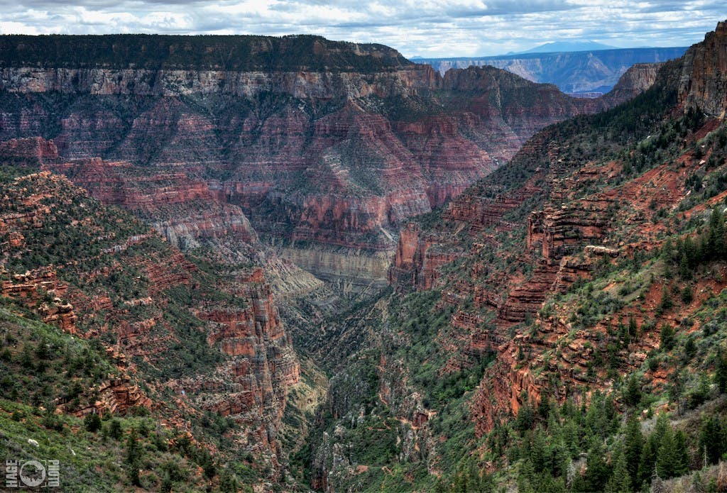 North Rim 2 The North Rim averages 8000-feet above sea level, approximately 1000-feet higher than the popular South Rim.