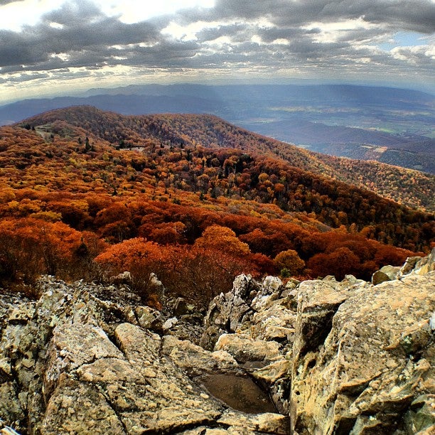Stony Man Mountain, Virginia (angela_n via Flickr hiking in virginia