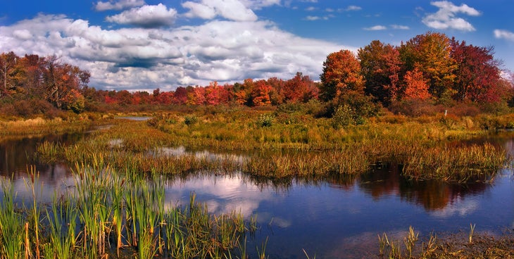 The Poconos, northeastern Pennsylvania (Nicholas A. Tonelli via Flickr) None