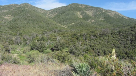 "image: Patty Mooney/Flickr"