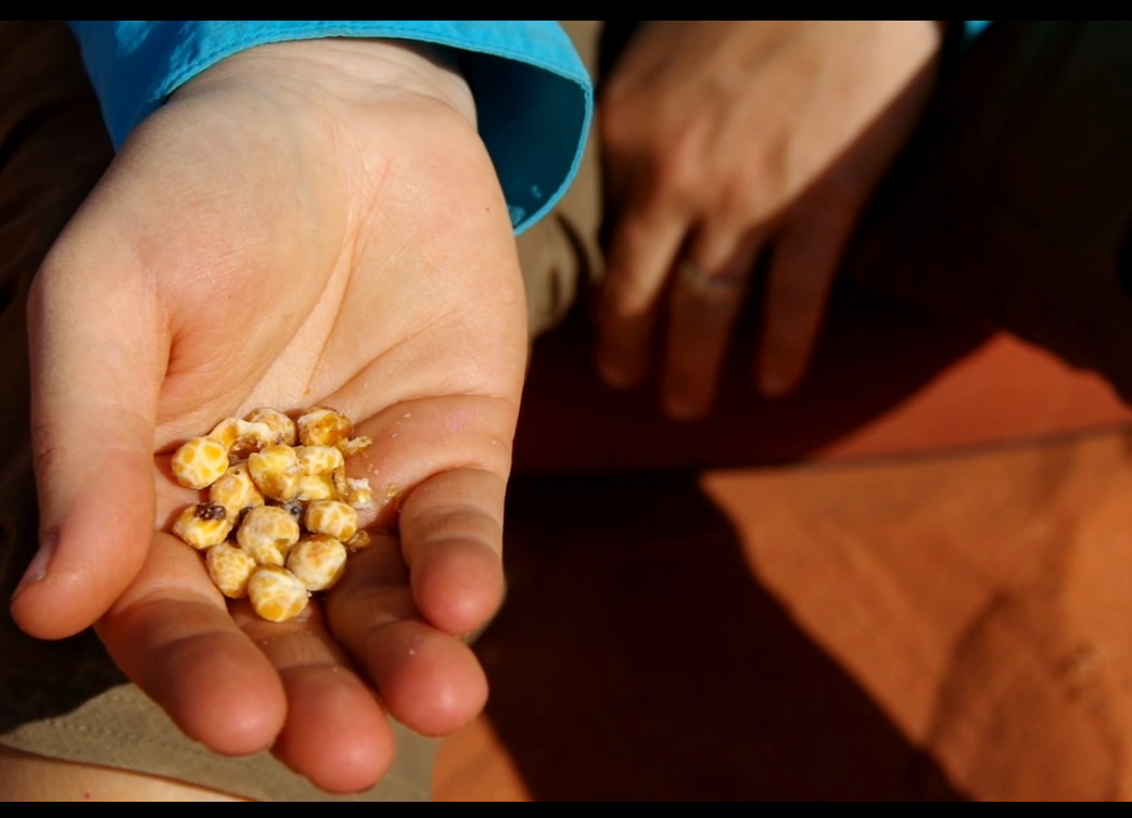 Halfpops These utterly addictive salty treats had our editors hoarding bags during our test trip in Jordan. They’re a cross between movie-theatre popcorn and…