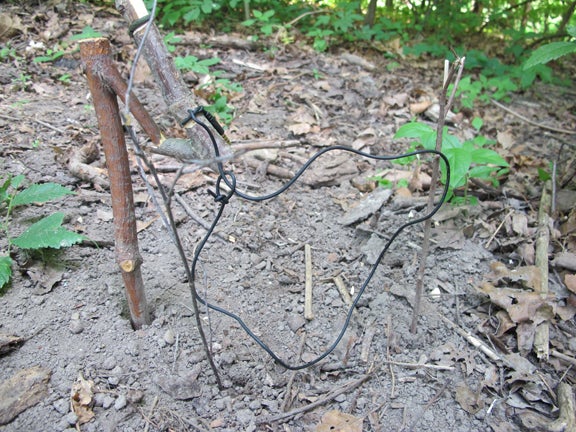 Headphones Snare Headphone wires can also be used to fashion a small game snare.