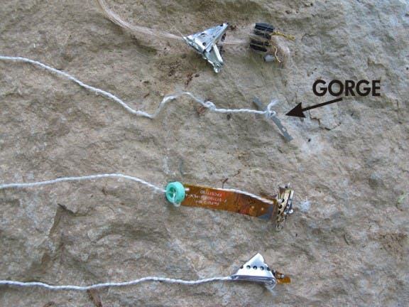 Plenty of little tidbits inside make great fishing hooks and lures.