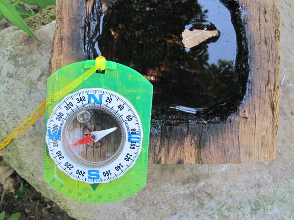 Speaker Compass Step 2 Then float the magnetized wire on a leaf or wood shaving in a still puddle of water and the magnetized end will point north.
