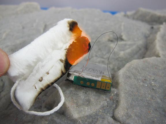 Start a Fire with the Battery Step 2 Tampon cotton quickly starts smoldering when touched with the hot wire.