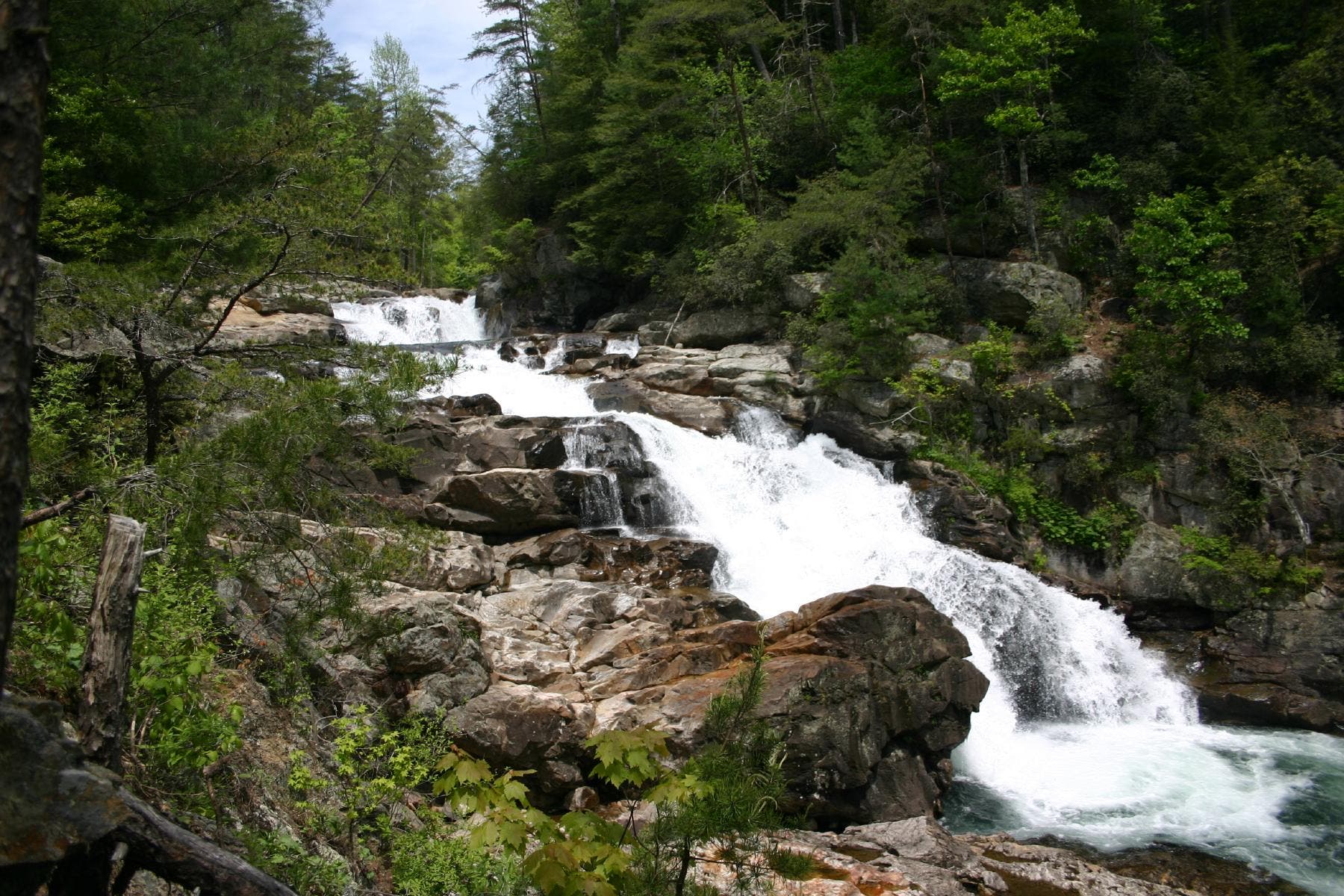 Wind along a ridgeline to work your way toward the tumbling Jack Rivers Falls. Take Beech Bottoms Trail for a 9 mile out-and-back trek through the…