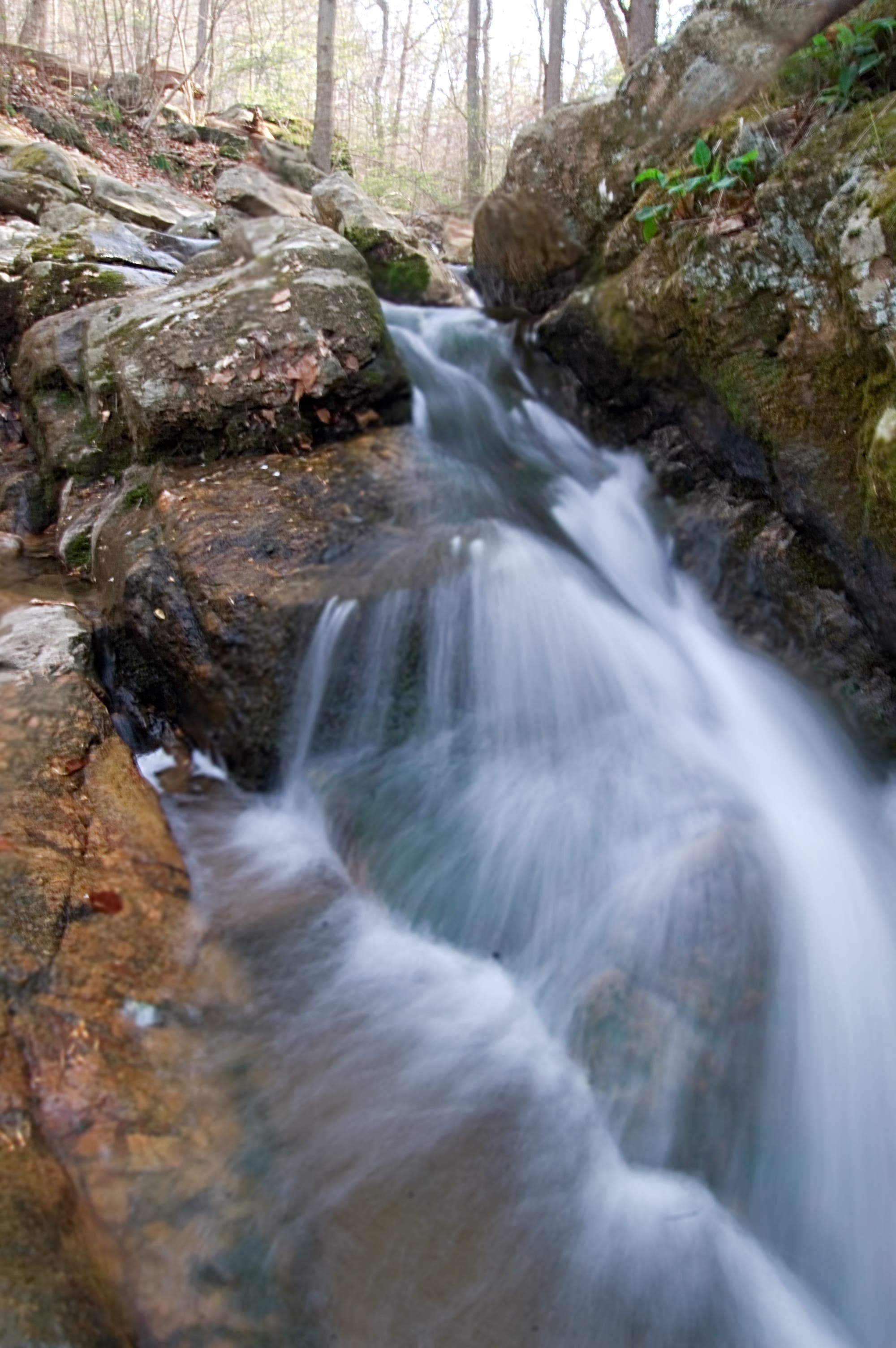 Cascade Falls Trail (Maryland) Take a quick drive from downtown Baltimore and work your way along a gentle stream toward the impressive Cascade Falls. A 3.1 mile loop through the…