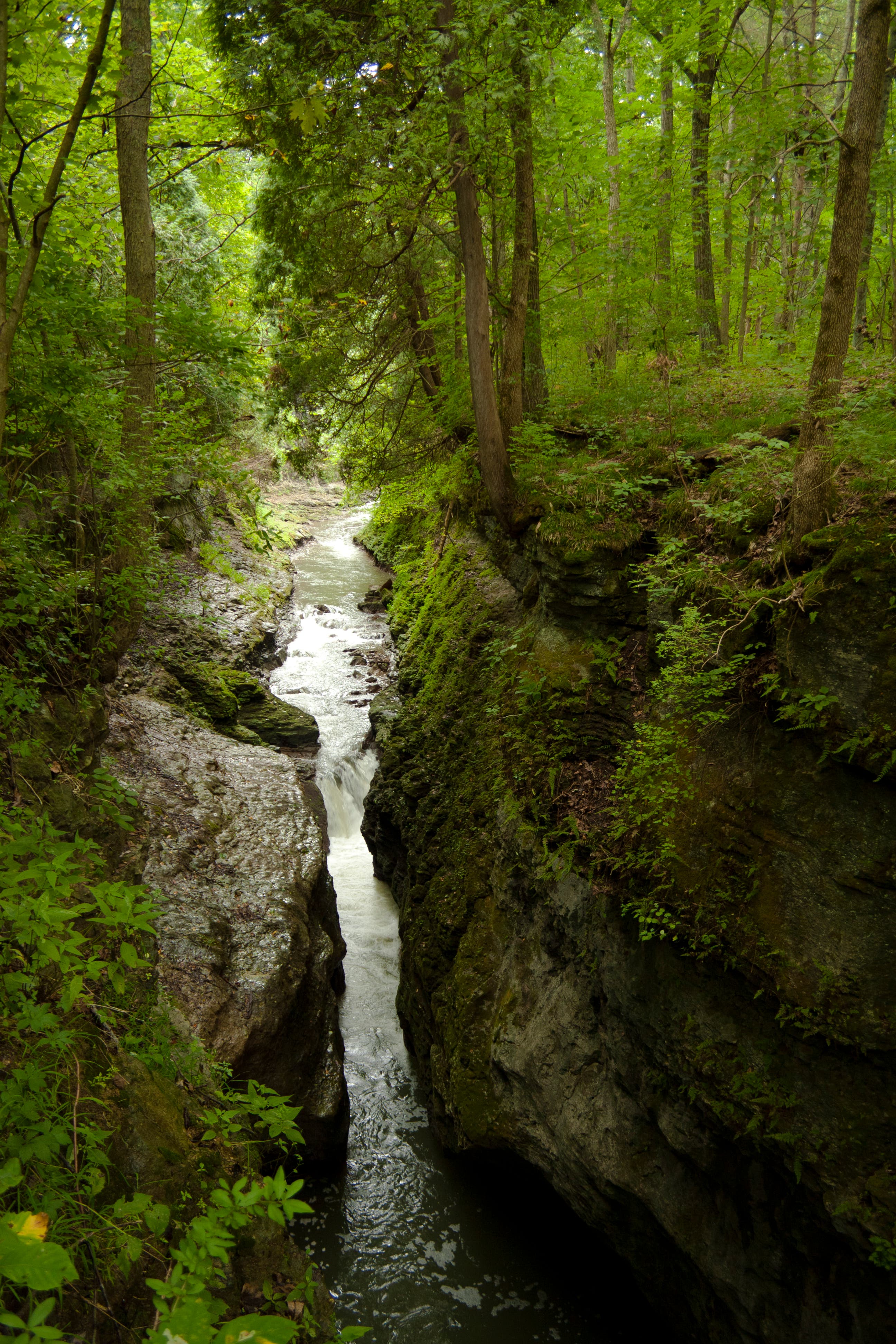 Clifton Gorge (Ohio) Follow the Little Miami River as it bursts through the narrow gorge. Hike along the lush, leafy trail for a 5.2 mile out-and-back trek along the…