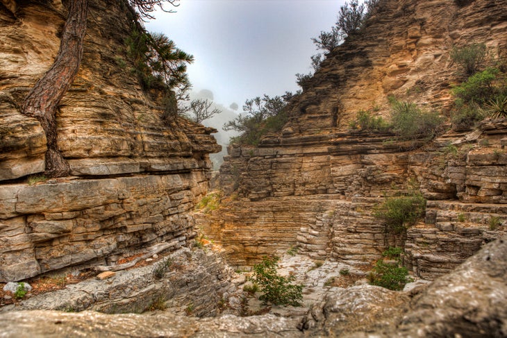 Devil’s Hall Trail (Texas) Traipse through a trail dotted with residual pools while trekking within a limestone ravine. Start at the Pine Springs campground to begin this…