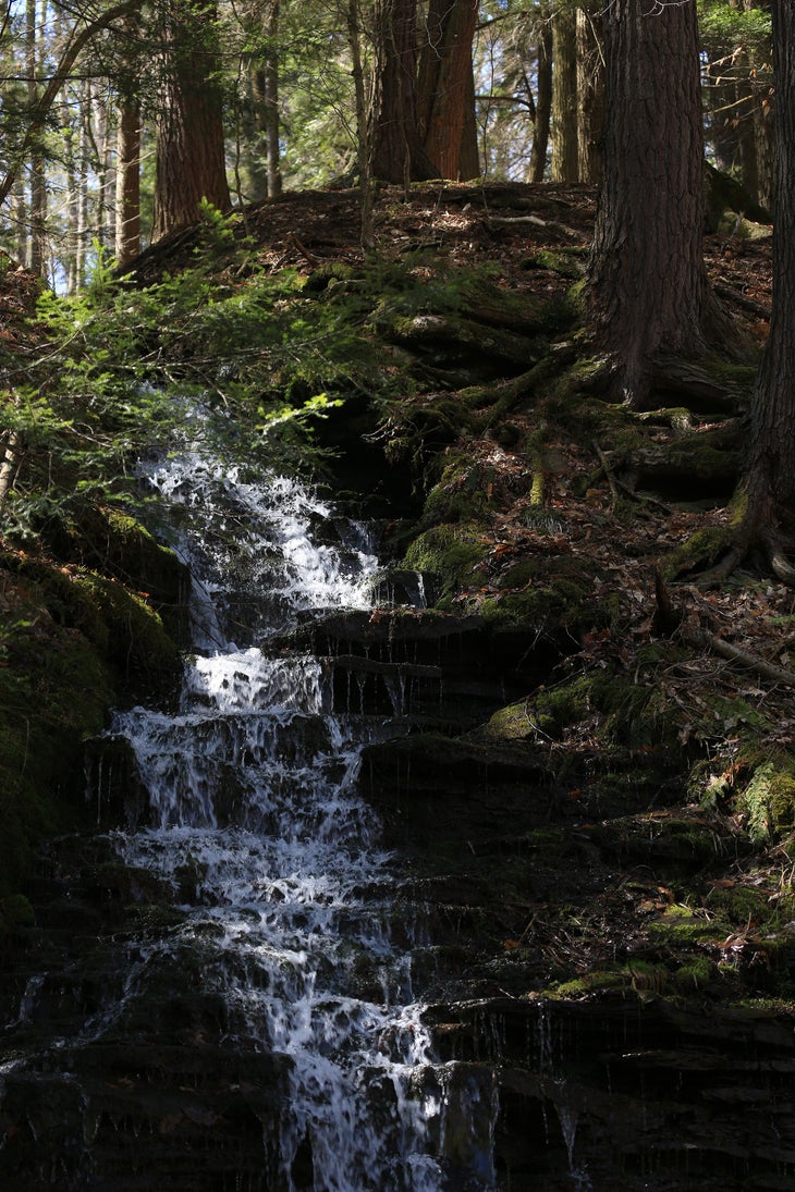 Holland Ravines on the Conservation Trail (New York) Get into the woods and bypass over 30 ravines—some as much as 60 feet deep—on this 9-mile hike along the Conservation Trail in Holland, NY. Start at…