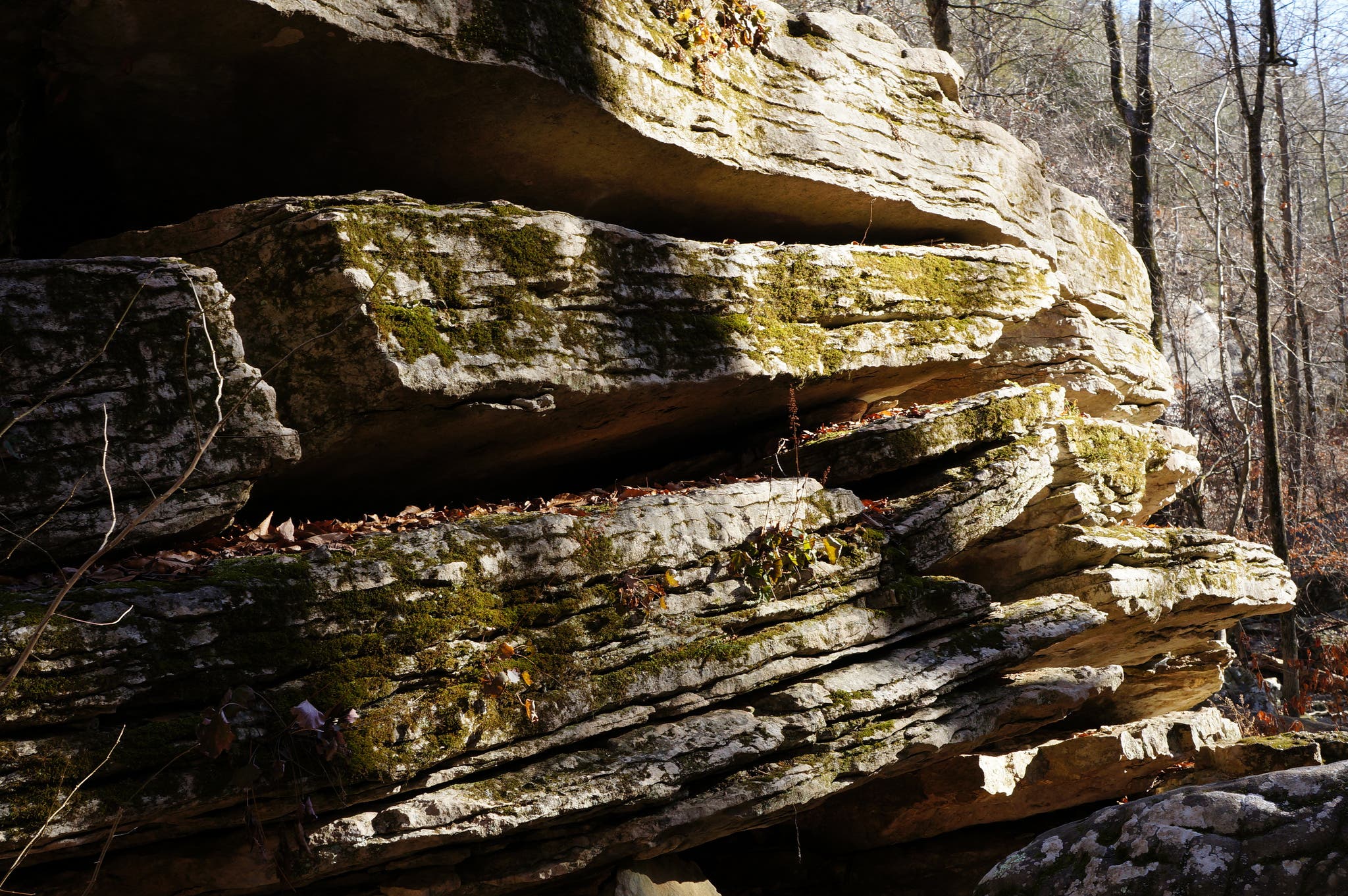 Take it easy on a hot summer day with a hike that leads to a large bluff shelter and rain-induced waterfalls. The Lost Valley Trail along the Buffalo…
