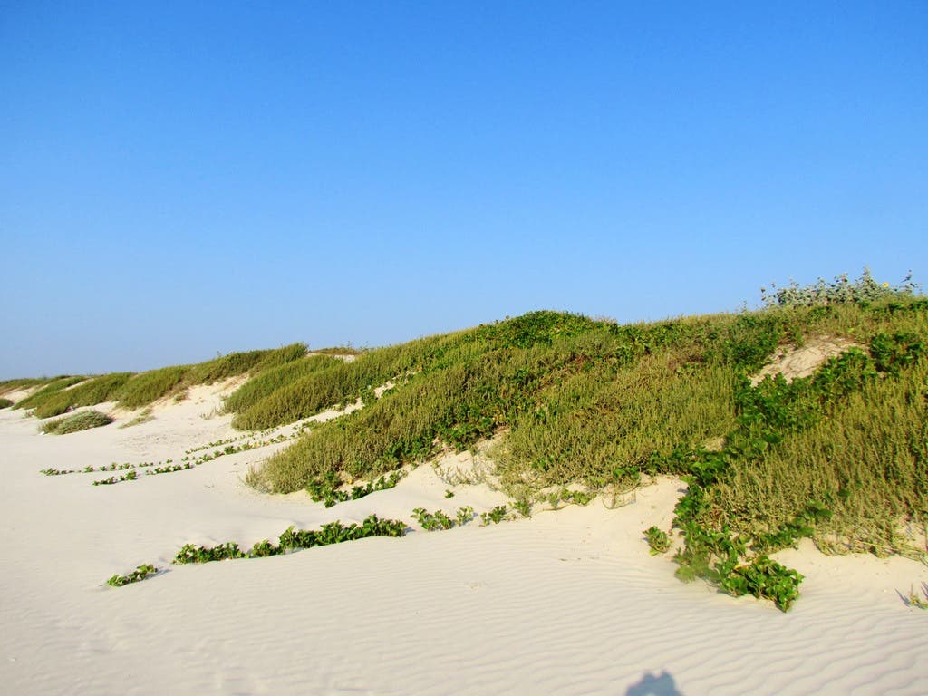 Mustang Island State Park, Texas After pitching your tent in a primitive campsite, enjoy the coastline by paddling around the rest of Mustang Island State Park. This beach location…