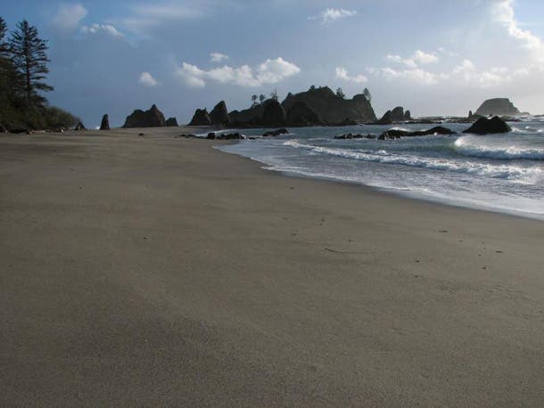 Rock-dappled shorelines? Check. Marine wildlife for days? Check.  Head to these Olympic shores and find a primitive site. You won't regret it.…