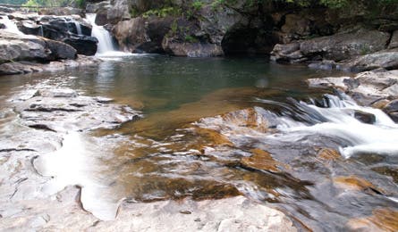 Avoid Atlanta’s heat with a dayhike lined with lofting hemlocks. Take the Penitentiary Branch Trail for a 10.2 mile out-and-back hike in the Cohutta…