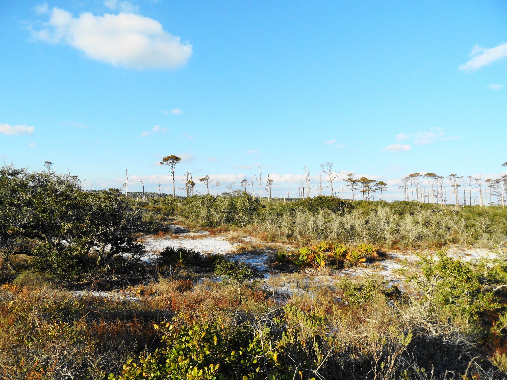 Hit the beach—accompanied by sea turtles and gators—for a prime way to cool off in the southern Alabama heat. The 3.7 mile Pine Beach Loop in the Bon…
