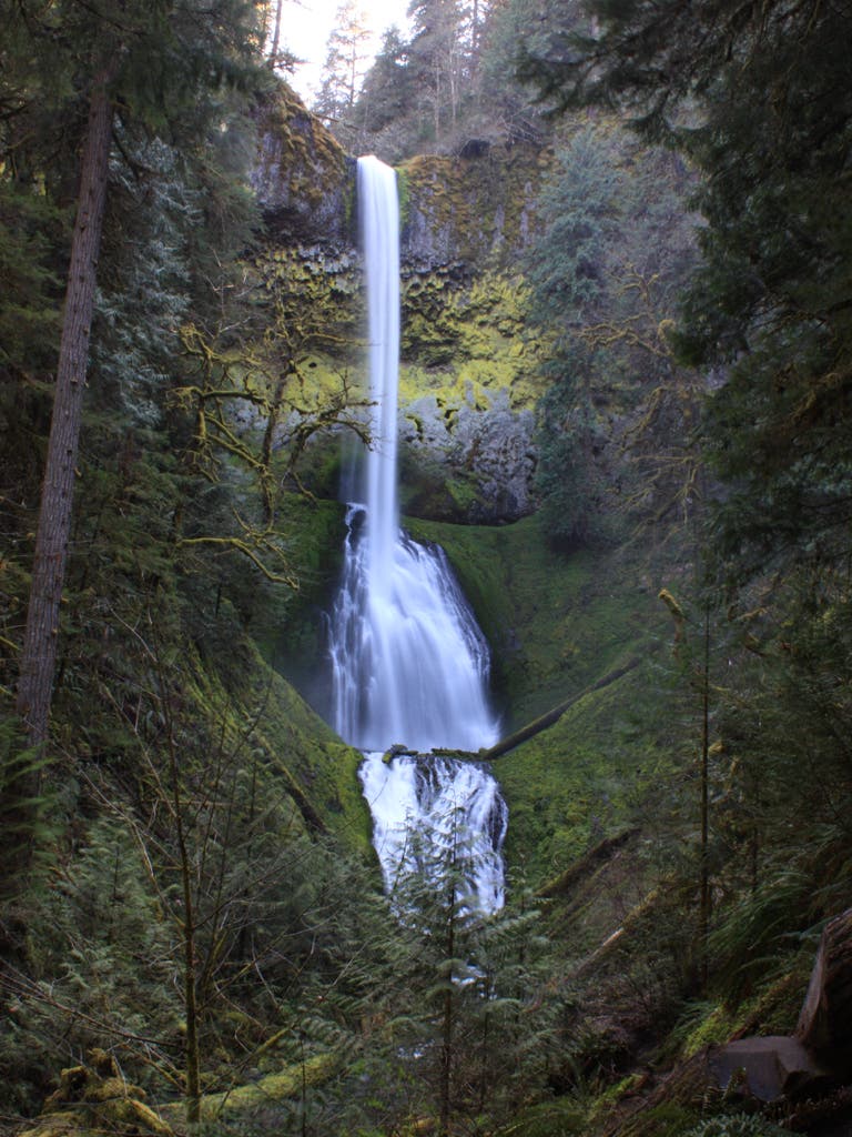 Spend an afternoon in the richly dense forest on your way to a three-tiered waterfall. Start at the Clackamas River Trailhead for a 3.5 mile hike…