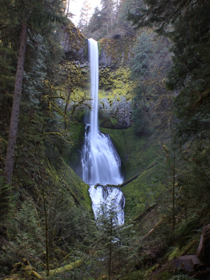 Pup Creek Falls (Oregon) Spend an afternoon in the richly dense forest on your way to a three-tiered waterfall. Start at the Clackamas River Trailhead for a 3.5 mile hike…