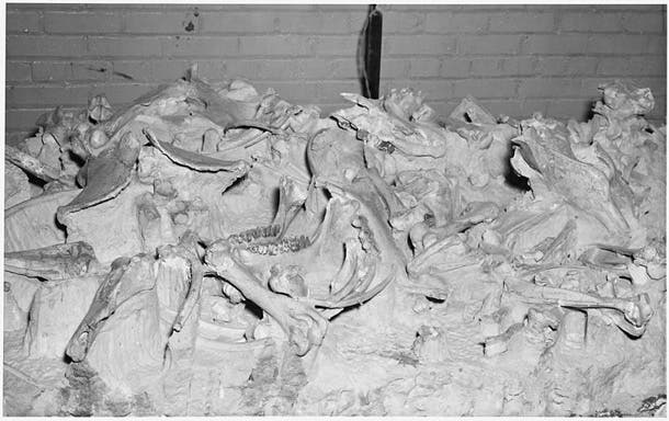 Agate Fossil Beds National Monument, NE Speaking of Nebraska, the state's Agate Fossil Beds also boast the remains of an 8-foot tall beast with the head of a horse and the feet of a sloth.…