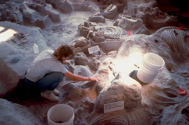 Ashfall Fossil Beds State Historical Park, NE Over twelve million years ago, a “hot spot” eruption covered hundreds of square miles in thick ash, causing a mass die-off as many animals suffocated…