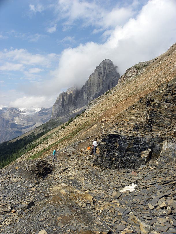 Burgess Shale, British Columbia, Canada The Burgess Shale, located in British Colombia’s Yoho National Park, is hands-down one of the world’s most significant fossil sites. Discovered in…