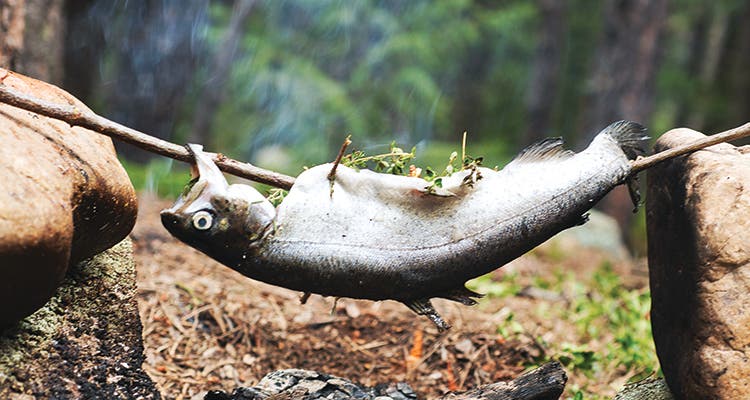 Cooking Trout Over Campfire Cooking Trout Over Campfire image by Carmel Zucker