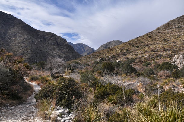 Guadalupe Mountains National Park, TX A mountain range in Texas may be the last place you would think to look for a coral reef, but with fossils, just about anything is possible. 265…