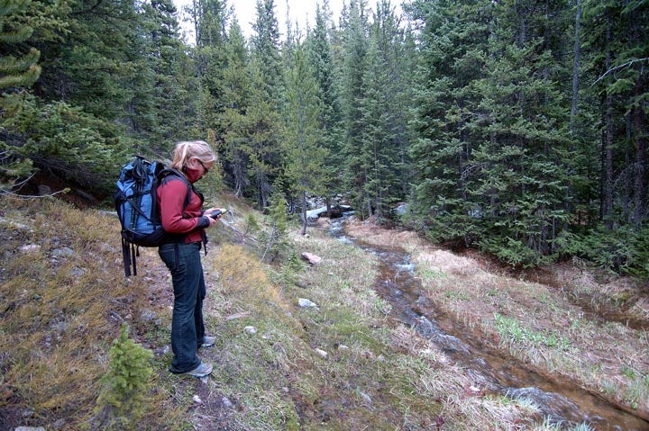 Discovering a lost trail None