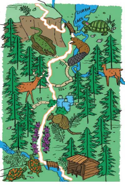 Four Trail Image image of four c trail in texas by vicki chu