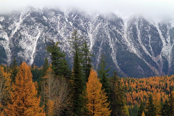 Glacier National Park, MT Fall is a short, but beautiful season in this Montana park. Take the Going-to-the-Sun Road until mid-October and utilize a backcountry campground…