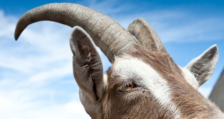 "photo: Julia Vandenoever"