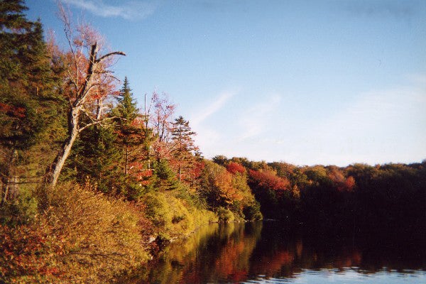 Long Trail, VT The Long Trail runs the length of Vermont, so you'll have plenty of time to enjoy the fall colors of 50 different tree species. Stay in a shelter or…