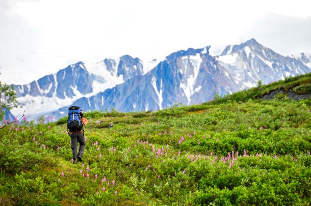 This roughly 15-mile overnight in the heart of Denali packs in all the elements of a backcountry adventure: untamed wilderness, non-existent trails,…