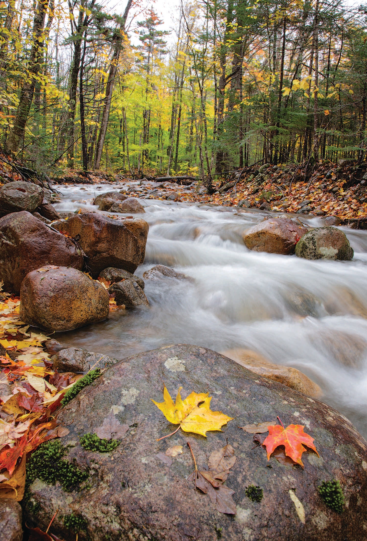 "photo: Erin Paul Donovan"