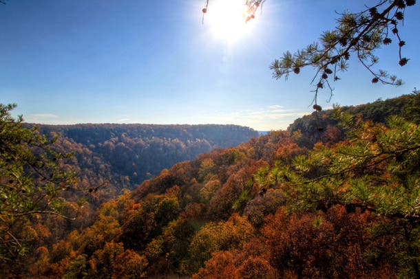 Hike along the 12.5-mile Fiery Gizzard Trail and pitch your tent at any of the 110 backcountry campsites in this state park. Stand in awe of the…