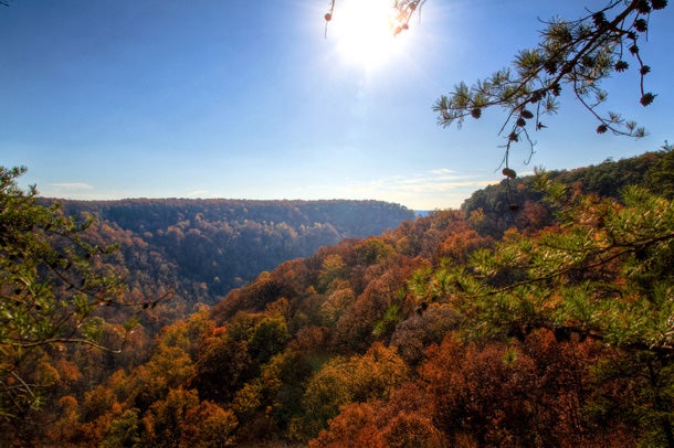 South Cumberland State Park, TN Hike along the 12.5-mile Fiery Gizzard Trail and pitch your tent at any of the 110 backcountry campsites in this state park. Stand in awe of the…