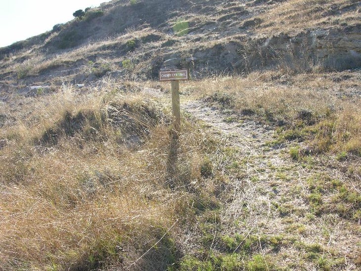 Trail Views None