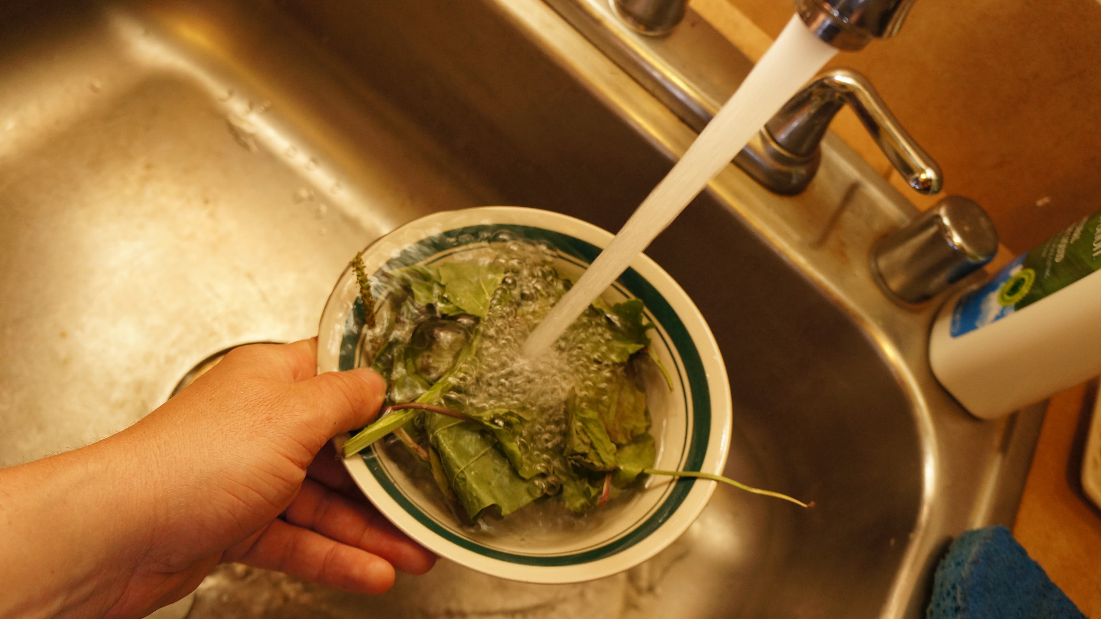 Trim the stems and pat them dry.