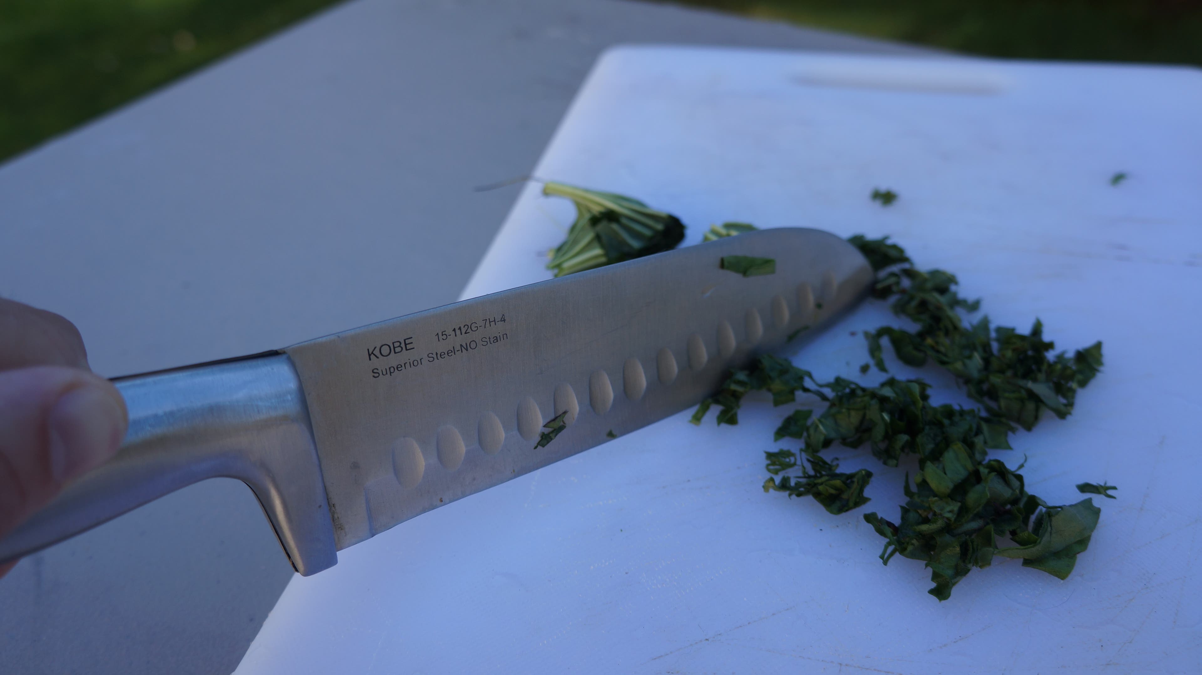 Make Salve With Garden Weeds Add a bit of water (or baby oil) and mash into a poultice with a mortar and pestle or a food processor. In the wild? You can chew it up with your…