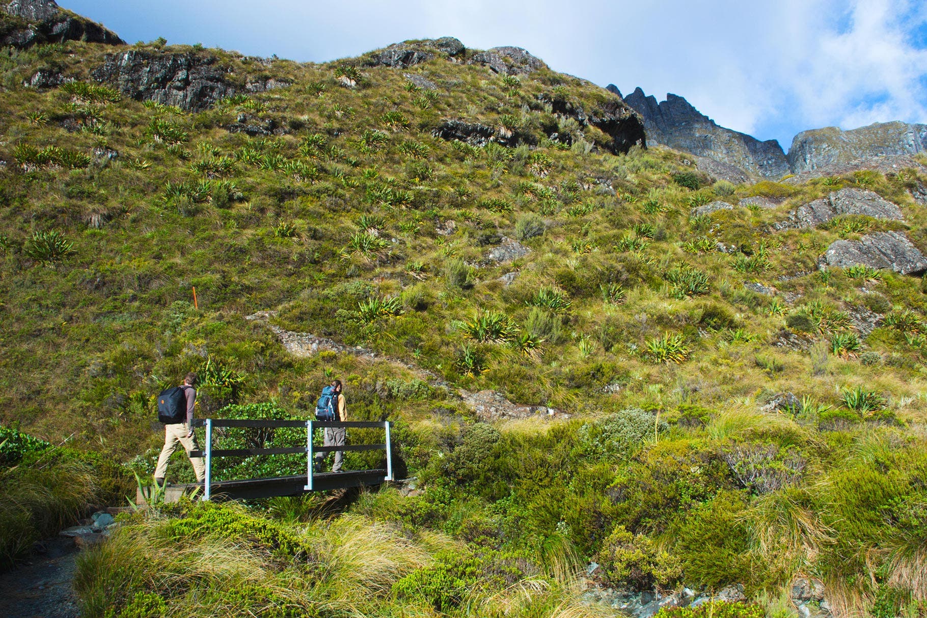 After spending at night at the Routeburn Falls Hut, our crew continues to climb through sub-alpine tundra. (Rachel Zurer)