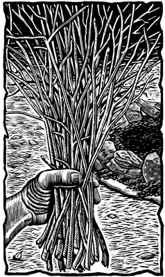 "Make a Kindling Bouquet"