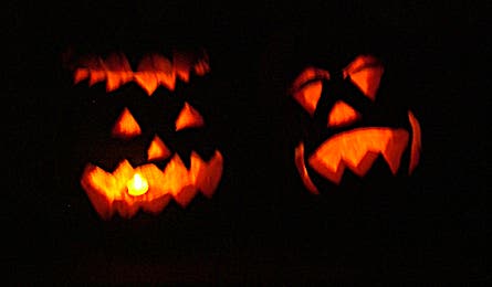 pumpkins