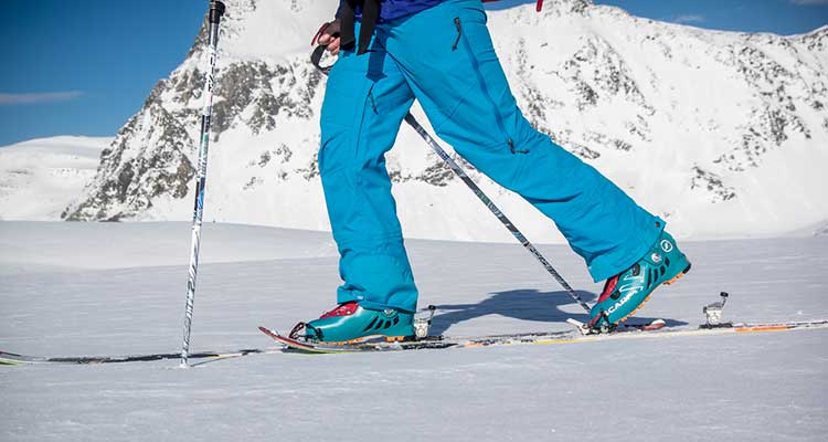 Editors Choice Snow 2014 Scarpa F1 Evo