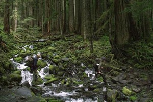 Sponsored: Fjallraven– Man Was Made to Roam