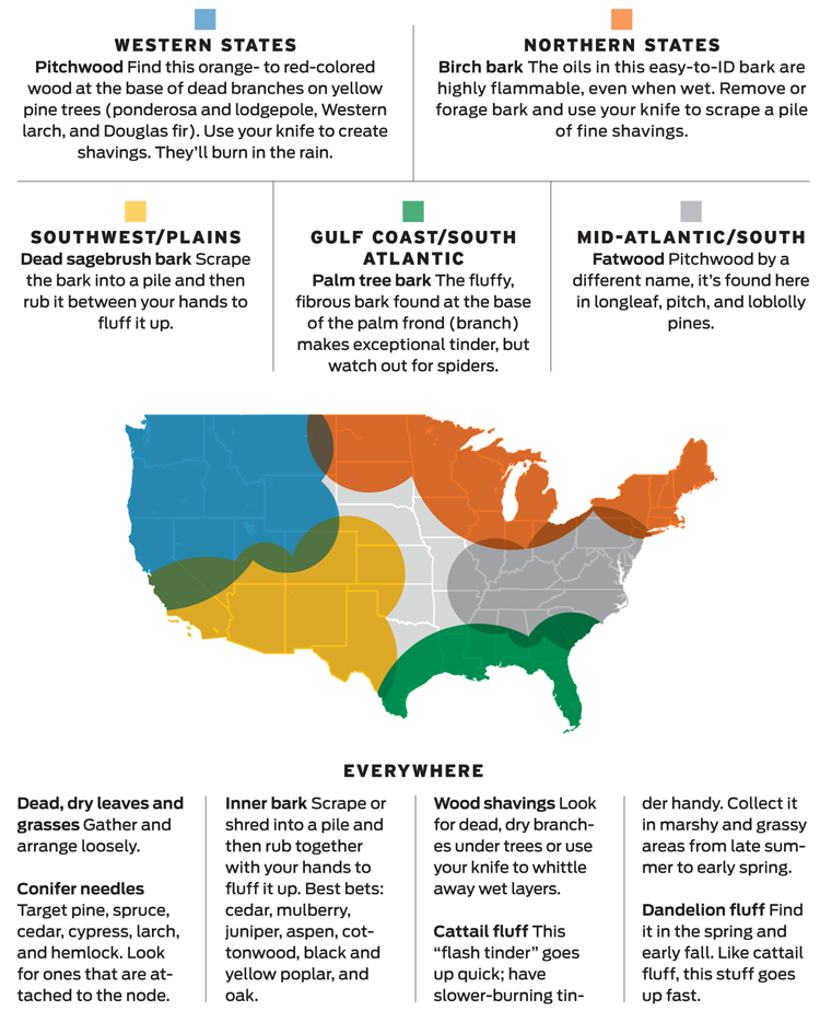 Detailed regional information regarging types of tinder in the United States