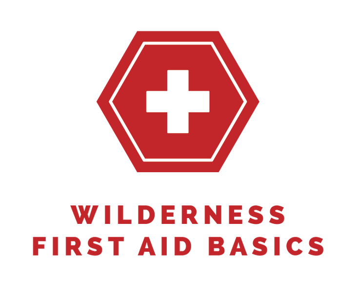 Wilderness first aid basics: Essential skills & training